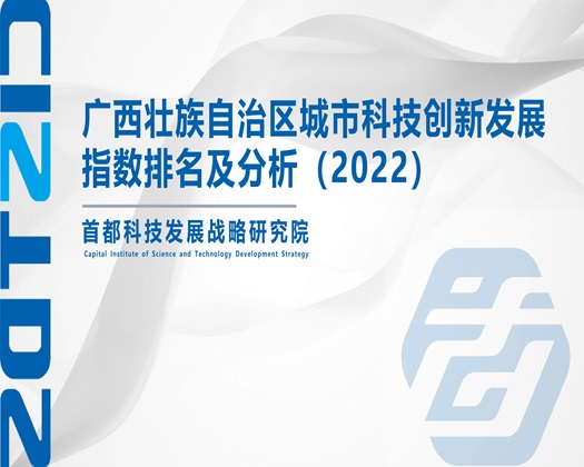 大鸡吧avwww【成果发布】广西壮族自治区城市科技创新发展指数排名及分析（2022）